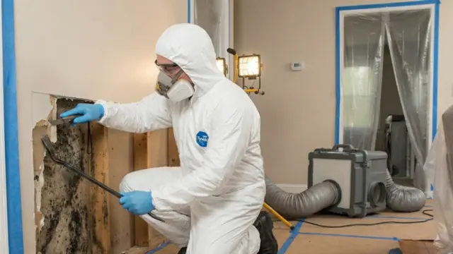 Mold Remediation & Testing